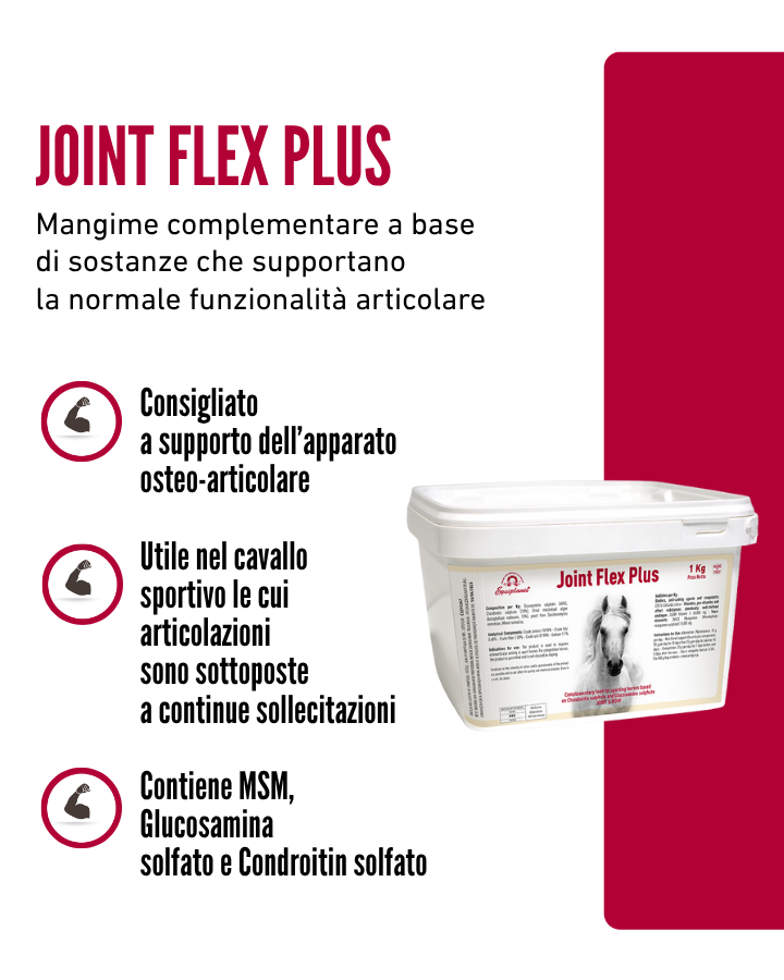 Joint Flex Plus
